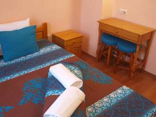 Гостевой дом Guest House Gergevana Велинград Двухместный номер с 1 кроватью-5