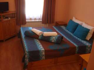 Гостевой дом Guest House Gergevana Велинград Двухместный номер с 1 кроватью-6
